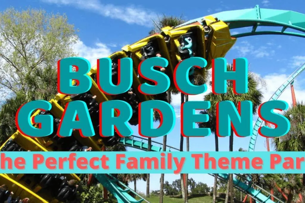 Villa Hidden Gem 3Br/1B+Jacuzzi+Busch Garden+Fishn+Kayak Tampa 0*,  USA